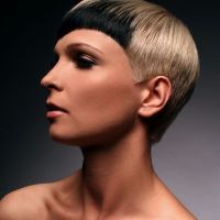 2012 hajszin studio 7